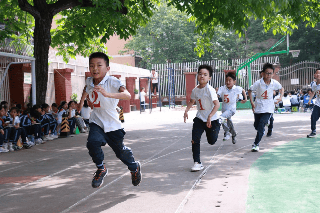 挥洒少年汗水 拓下青春印记——西安交通大学附属小学2024年春季田径
