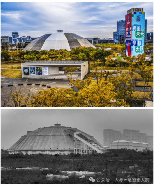 2024上海城市生态环境影像展入选作品发布_海民_公园_浦东