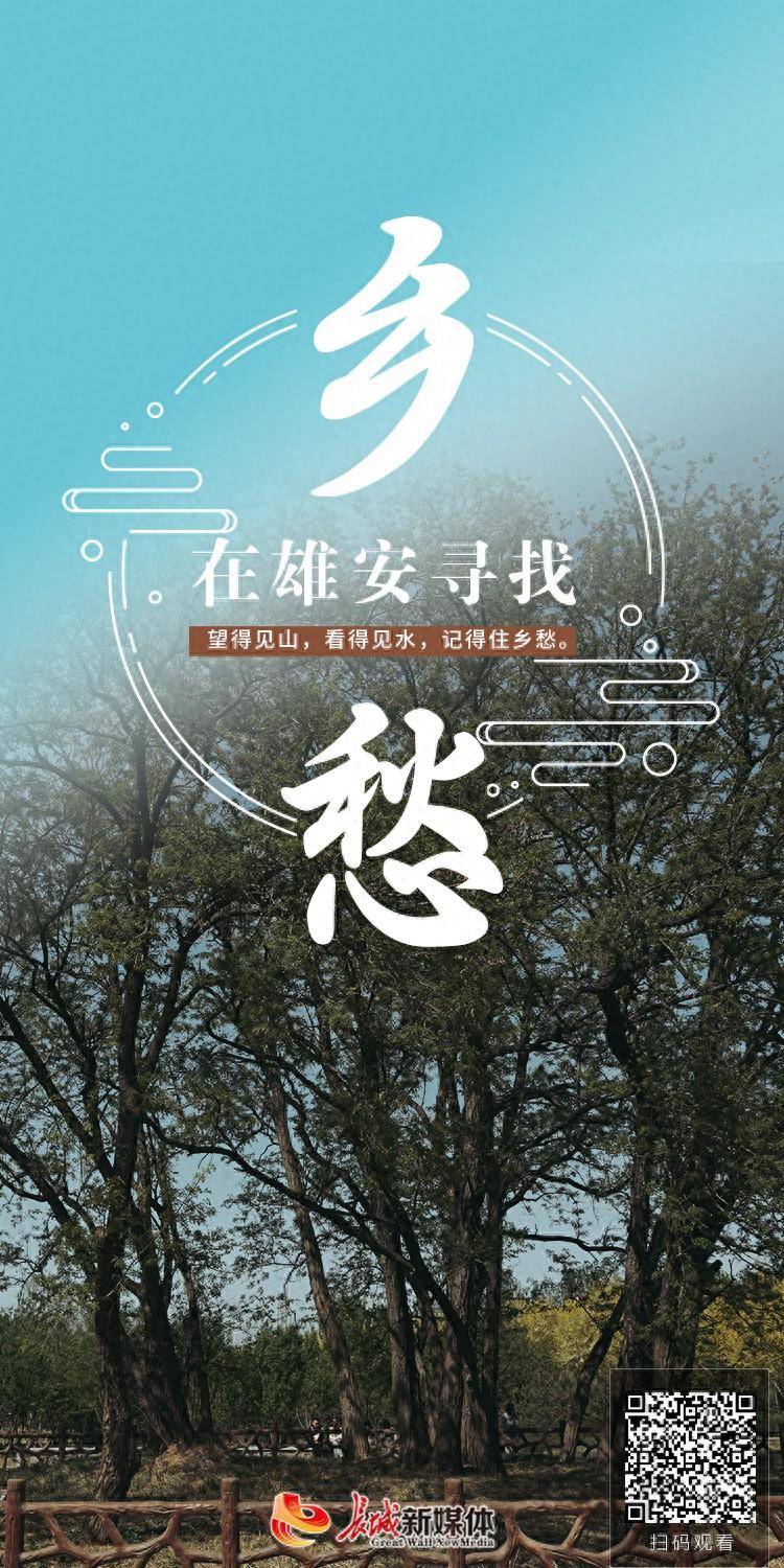 拔节生长看雄安 | 在雄安寻找乡愁