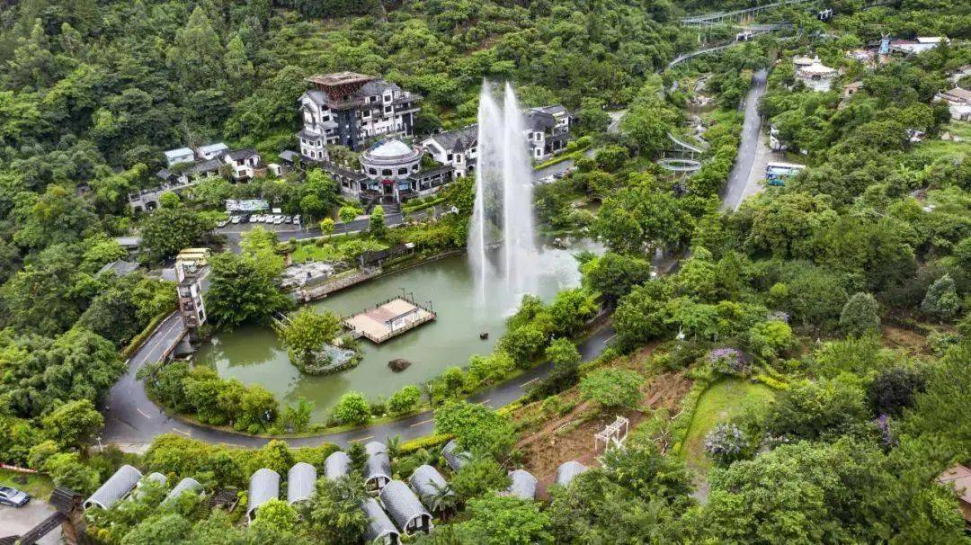 畅游山水泳池,泡半山温矿泉~住天露山帐篷小院,含双人自助早餐 游古镇