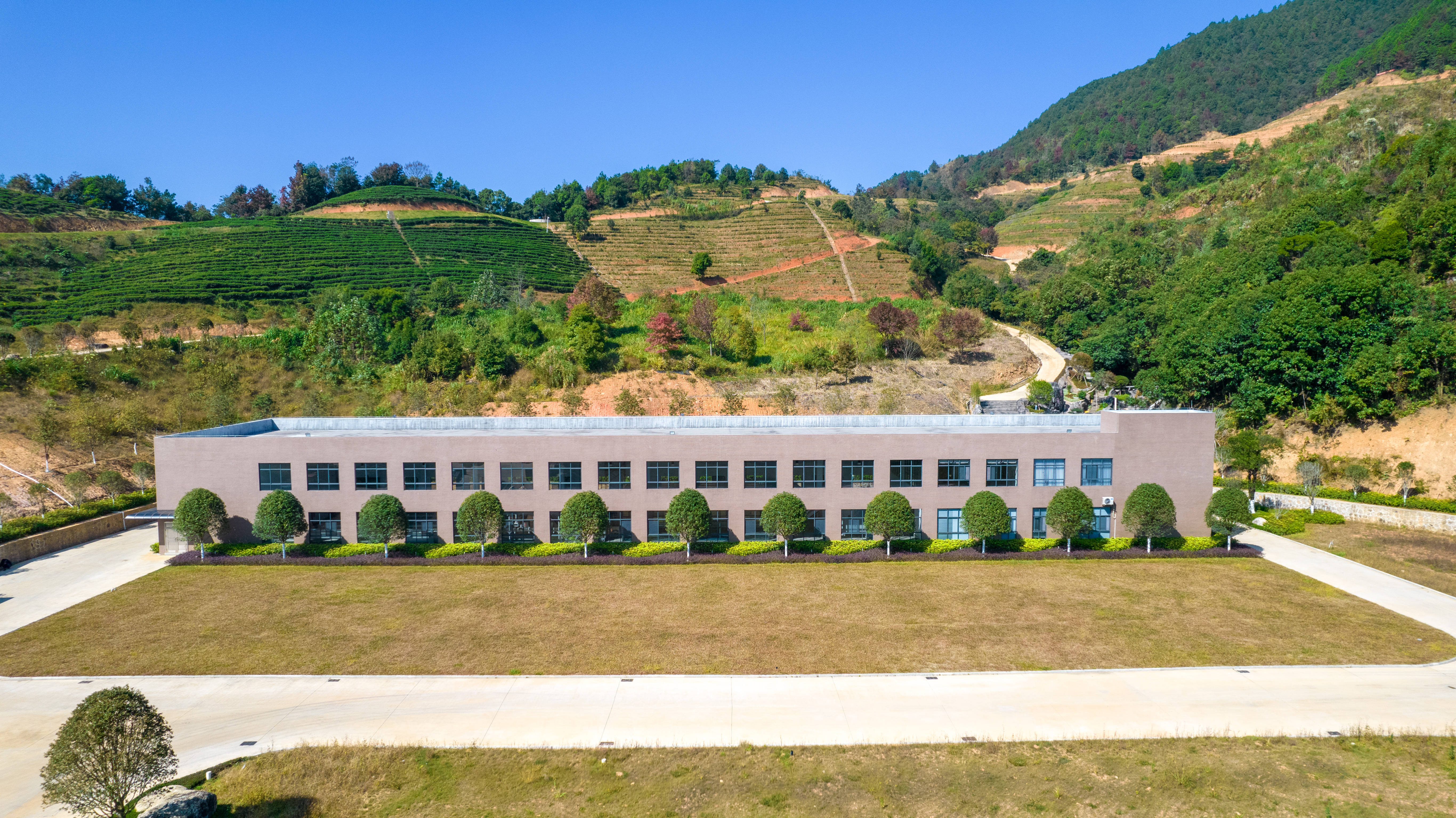 河源市伟景农林发展有限公司:"古树名木是河源最为珍贵的家底家当"|"