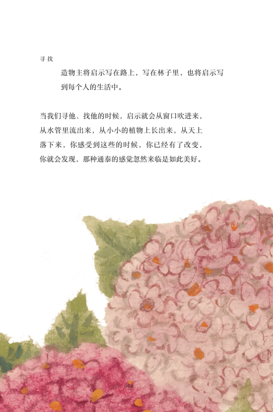 限量500本!78岁"国宝级"绘本奶奶蔡皋新作(亲笔签名版)