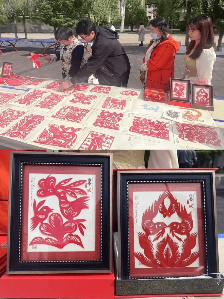 科学教育点亮美好未来——新惠第六小学2024年校园科