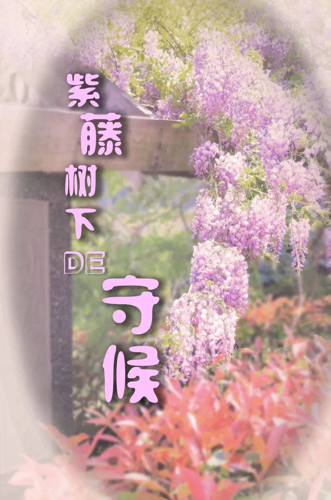 每一片紫藤花瓣,都是对他温柔的致意,每一缕风声,都是他对学生轻声的