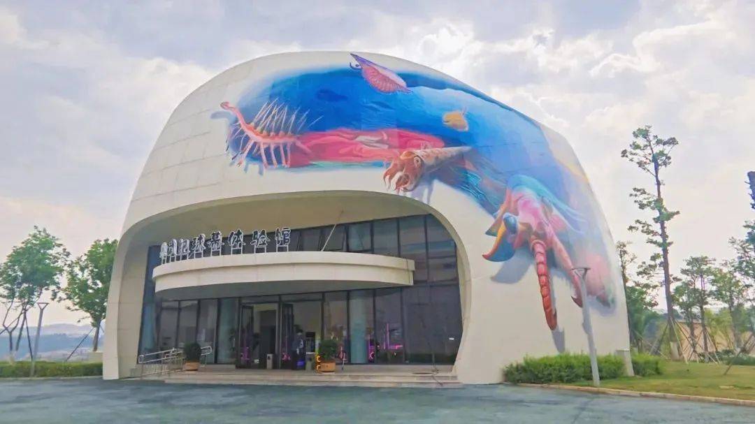 看展览,听讲座,集印章……国际博物馆日,昆明这些活动等你来!