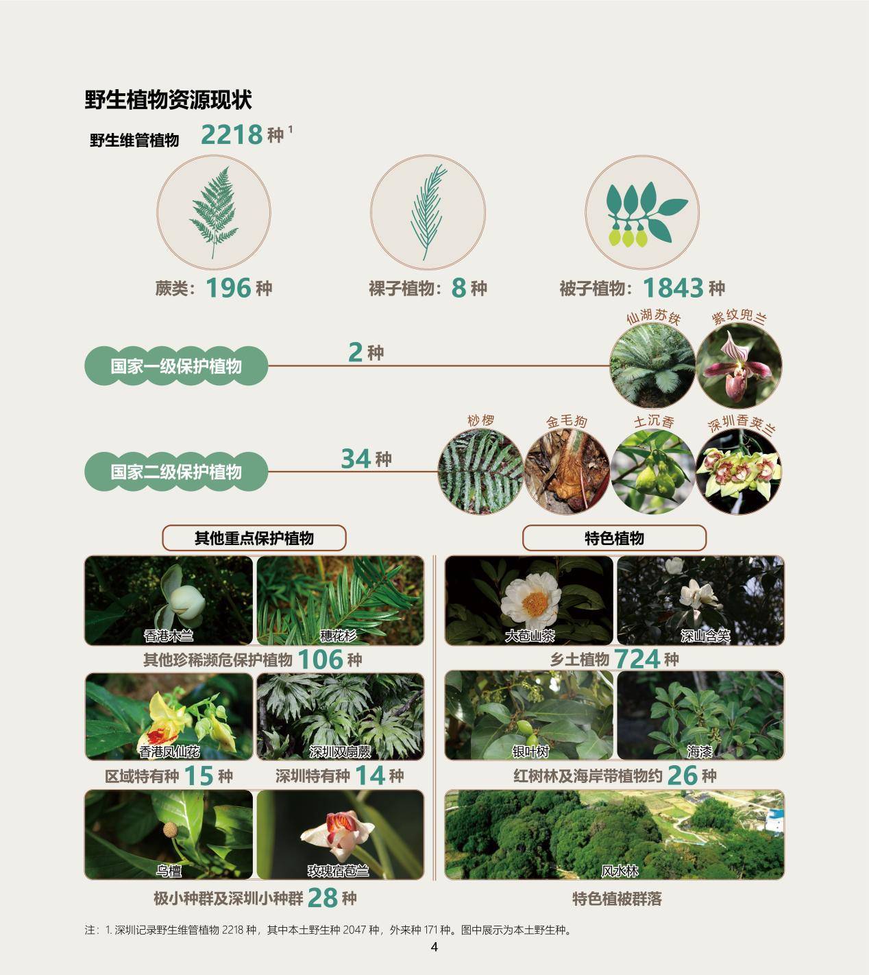 半月谈网 :2024年新奥门王中王资料-城市：疏通城市“静脉” 天津港保税区排水管网升级改造  第1张