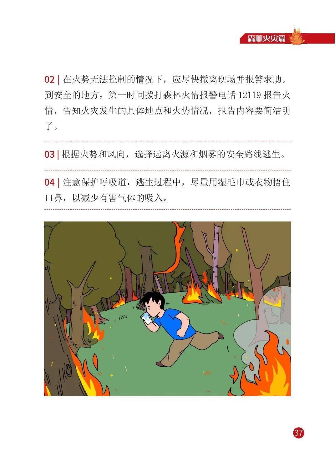 【森林防火】警惕森林火灾