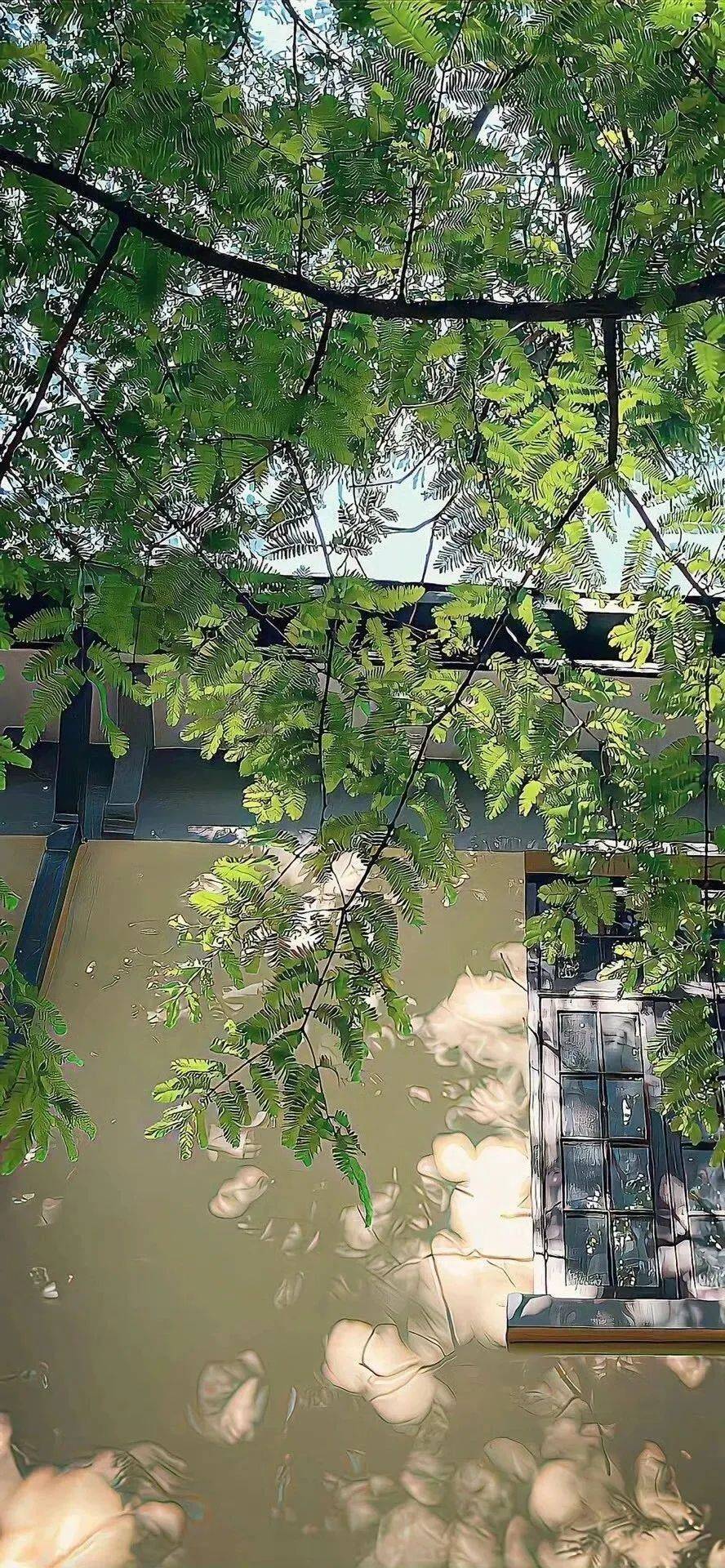 壁纸|iphone 高质感壁纸(8k高清)