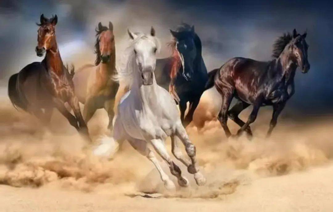 李长华:2024年第9期同图诗词(驰骋疆场保家国 )八首