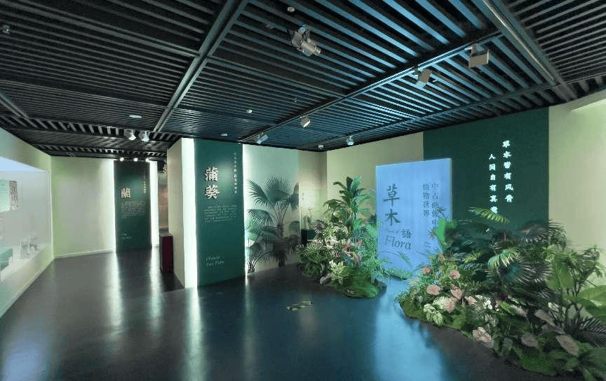 深圳博物馆举办三大展览 寓教于乐感受美育的魅力_熊猫_标本_植物
