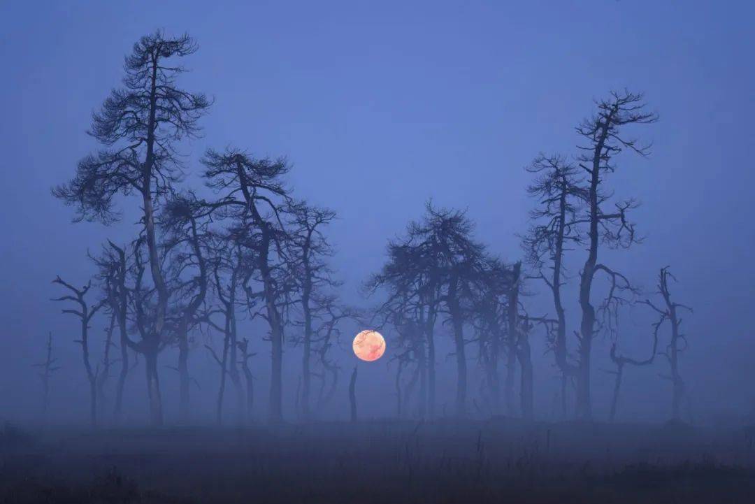 国际风光摄影师大赛获奖作品,每一张都美到堪称壁纸