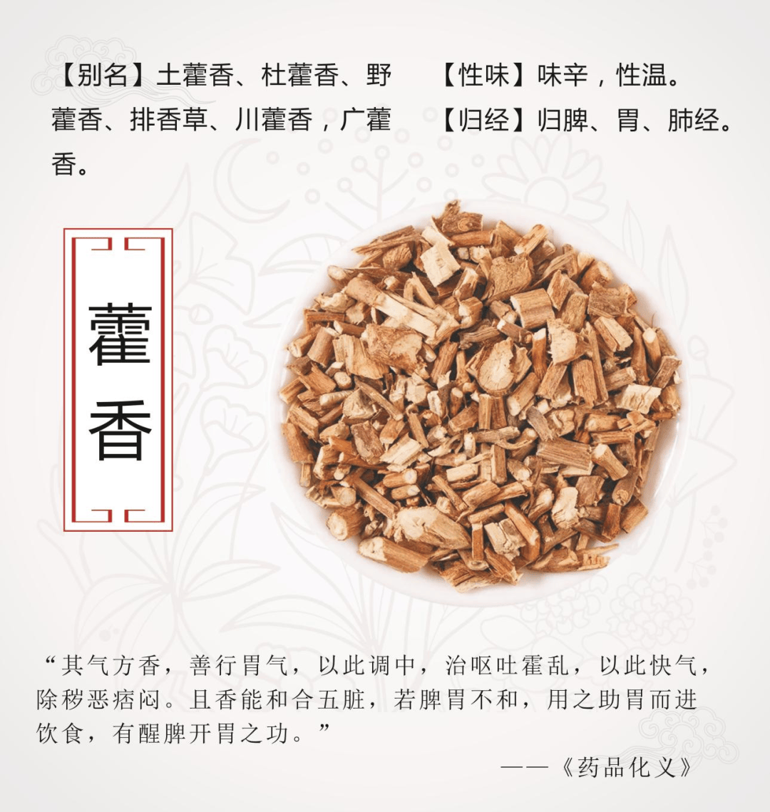 广藿香的功效与作用图片