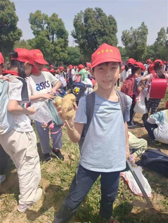 中国文化公园：最准一肖一码100%精准的评论-被1亿人围观，那个爆火的15岁男孩，打脸了多少教育专家？
