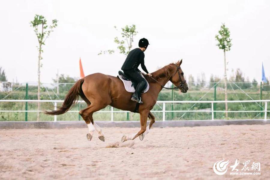 景区不仅有竹林,清泉,古村落的美景,还有滑草,漂流,观光火车等户外
