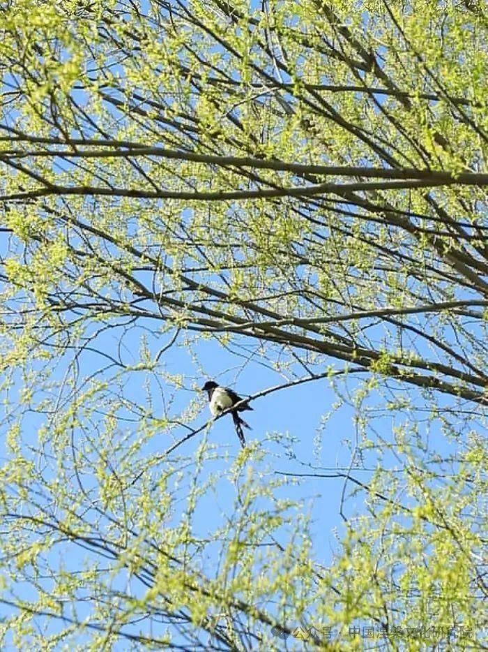 每个黎明开启的时刻,都值得好好珍惜