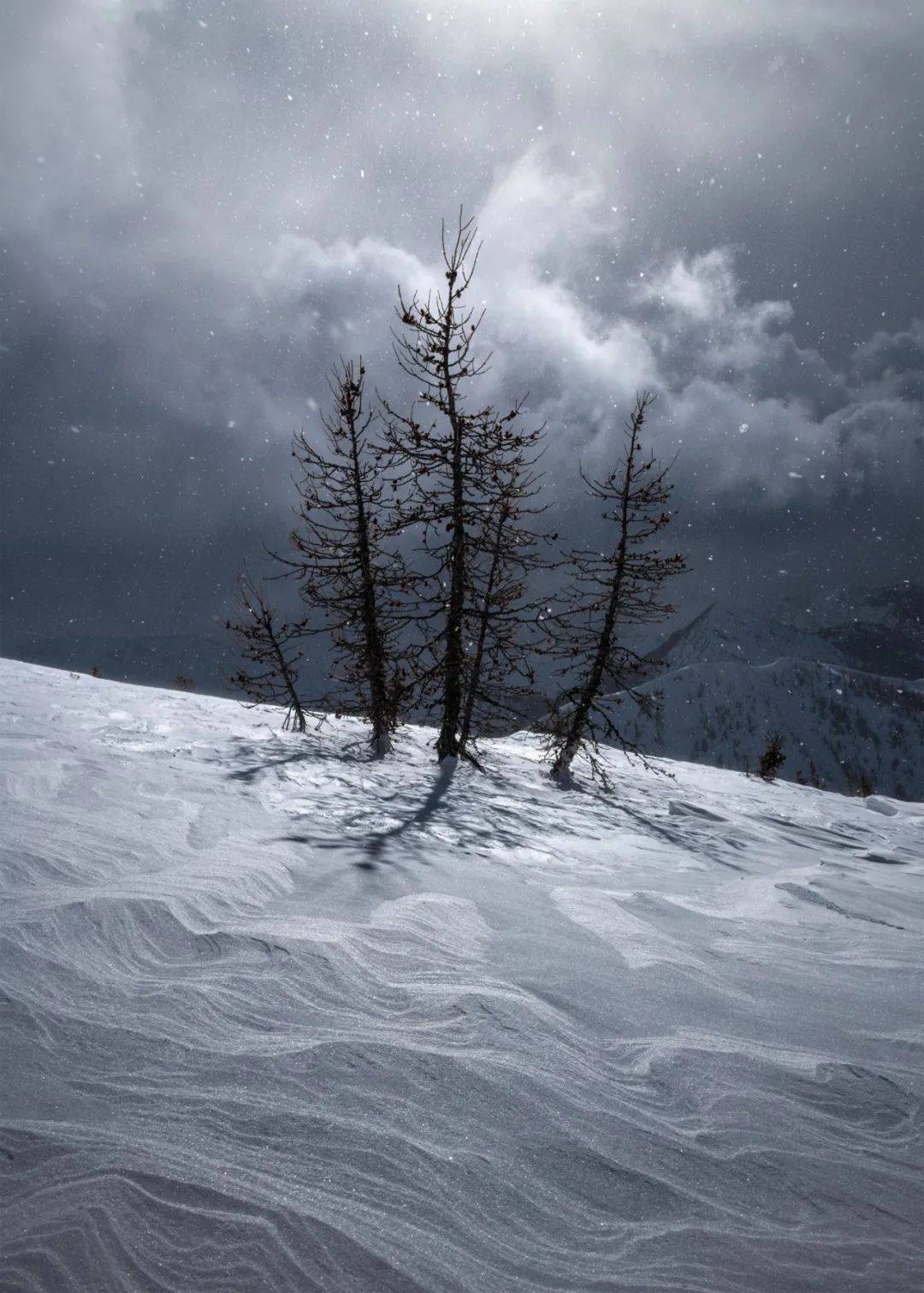 年度照片冠军奖:blake randall,代表作《火与水》(fire and water).