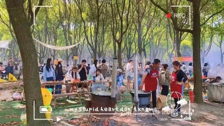 免费,折扣!这个周末,浙江多个景区等你来打卡