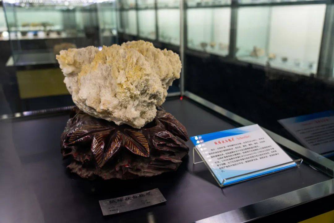 相约chu博物馆,触摸长大的历史与未来!(内含福利抽奖)