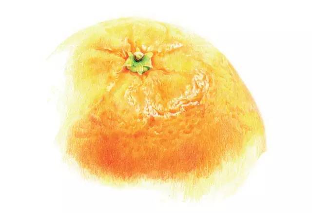 【教程】教你用彩铅画酸甜可口的橘子