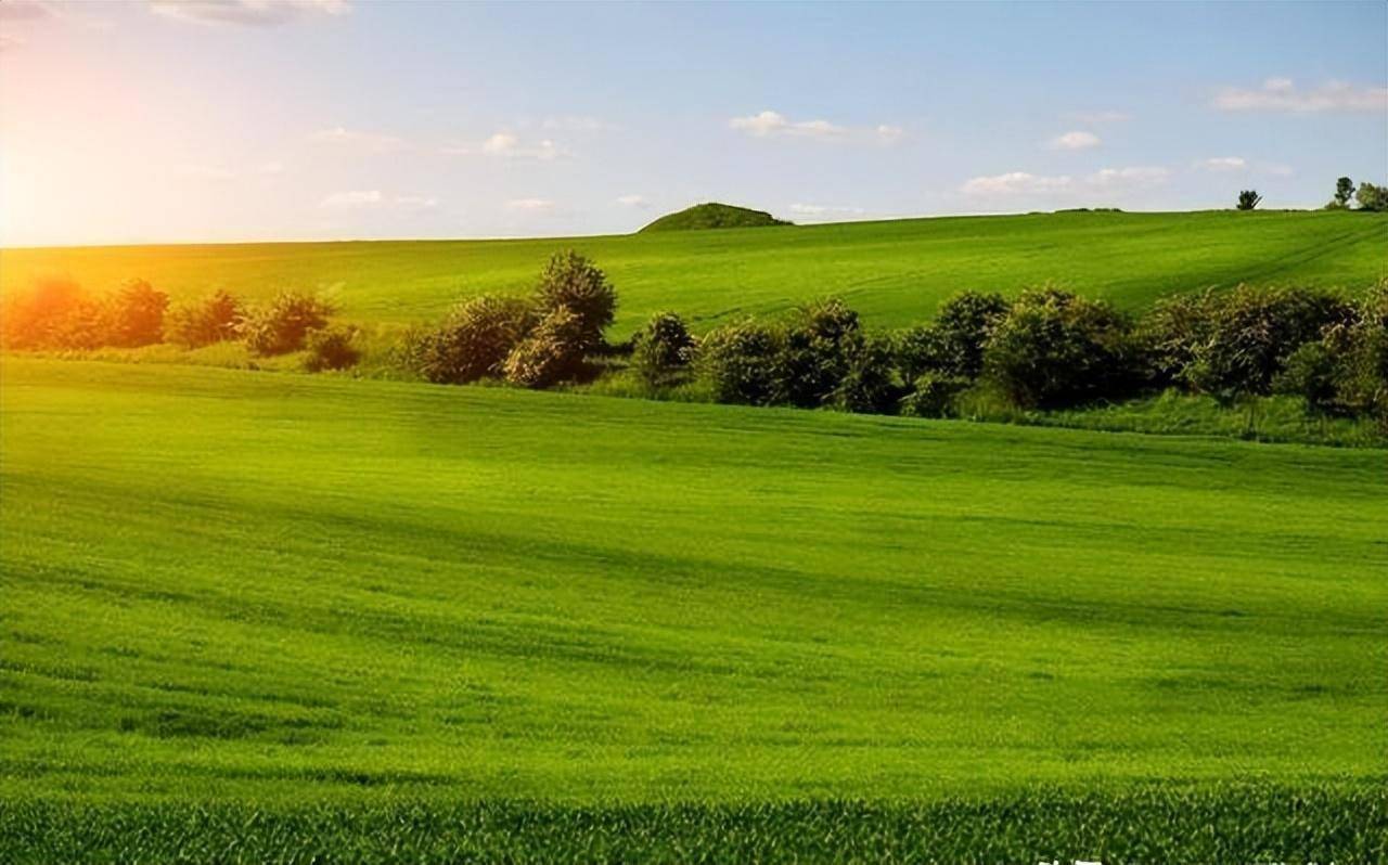有些人在谈恋爱的时候,就对对方百依百顺,忍受各种不合理的行为.