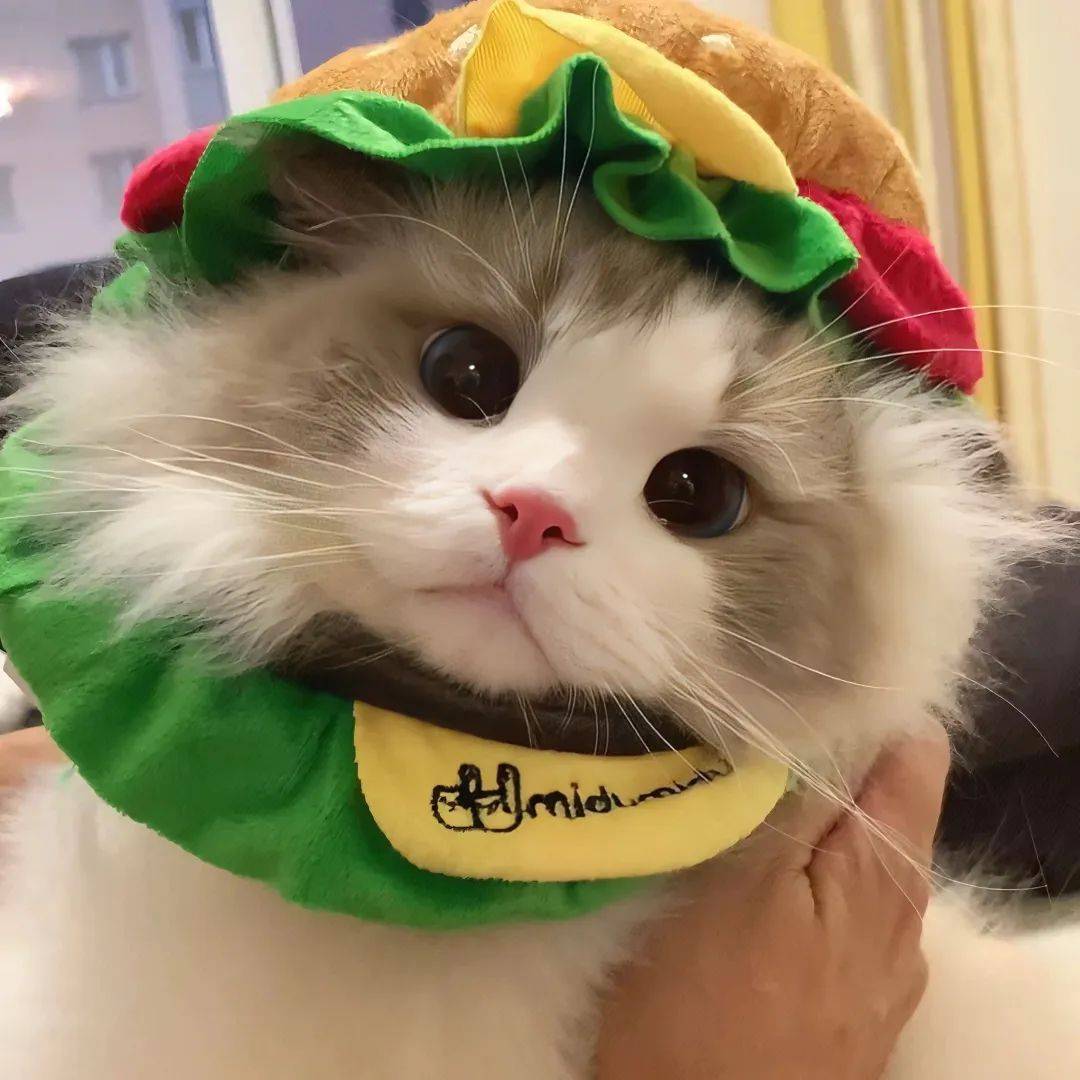 头像 | ,23086112610823最近收藏的头像 676767