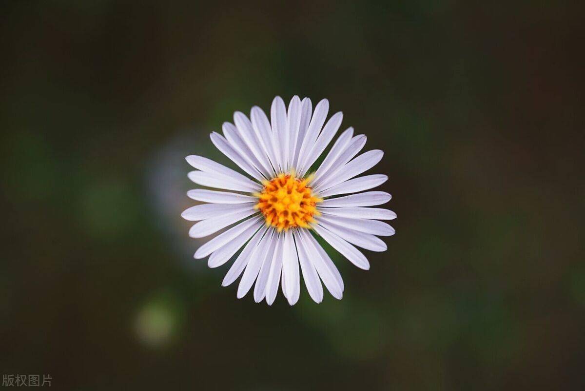 一个男人,经常在朋友圈发这些,说明他心已离家出走