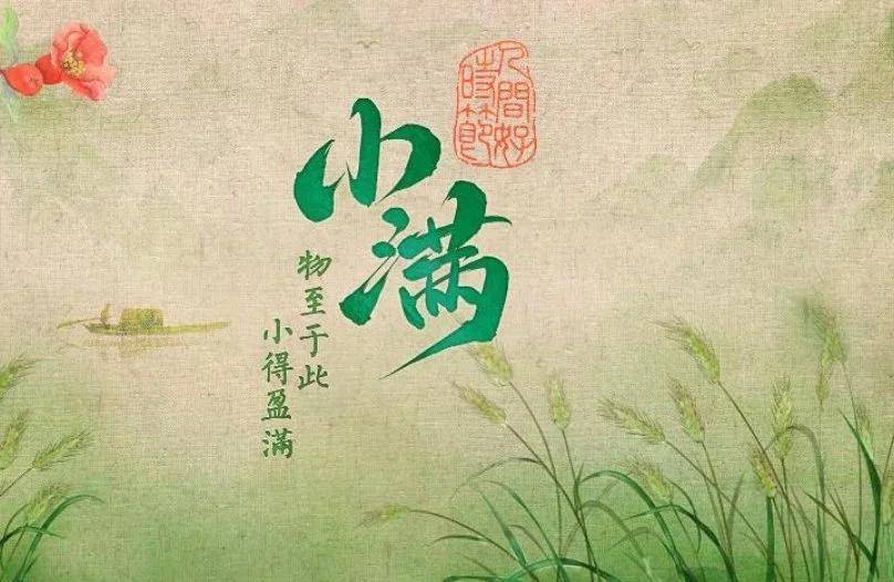 生肖猪,2024年小满:财运,事业运,感情运分析!