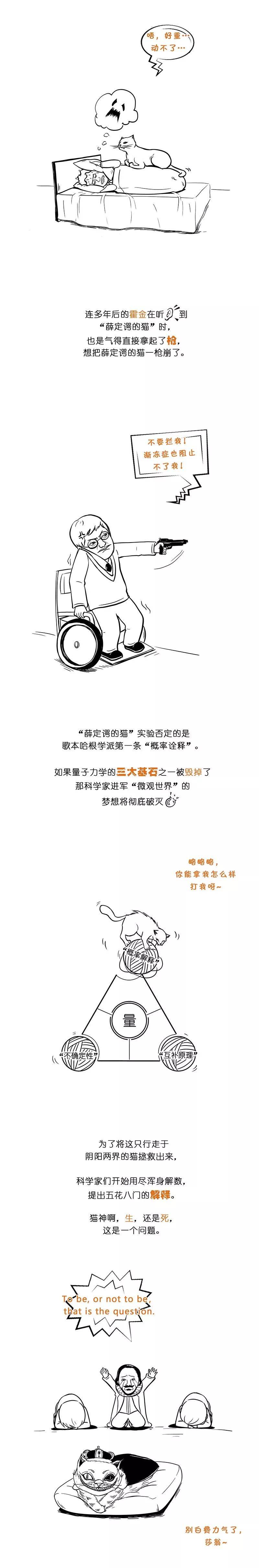薛定谔的猫,到底是什么?
