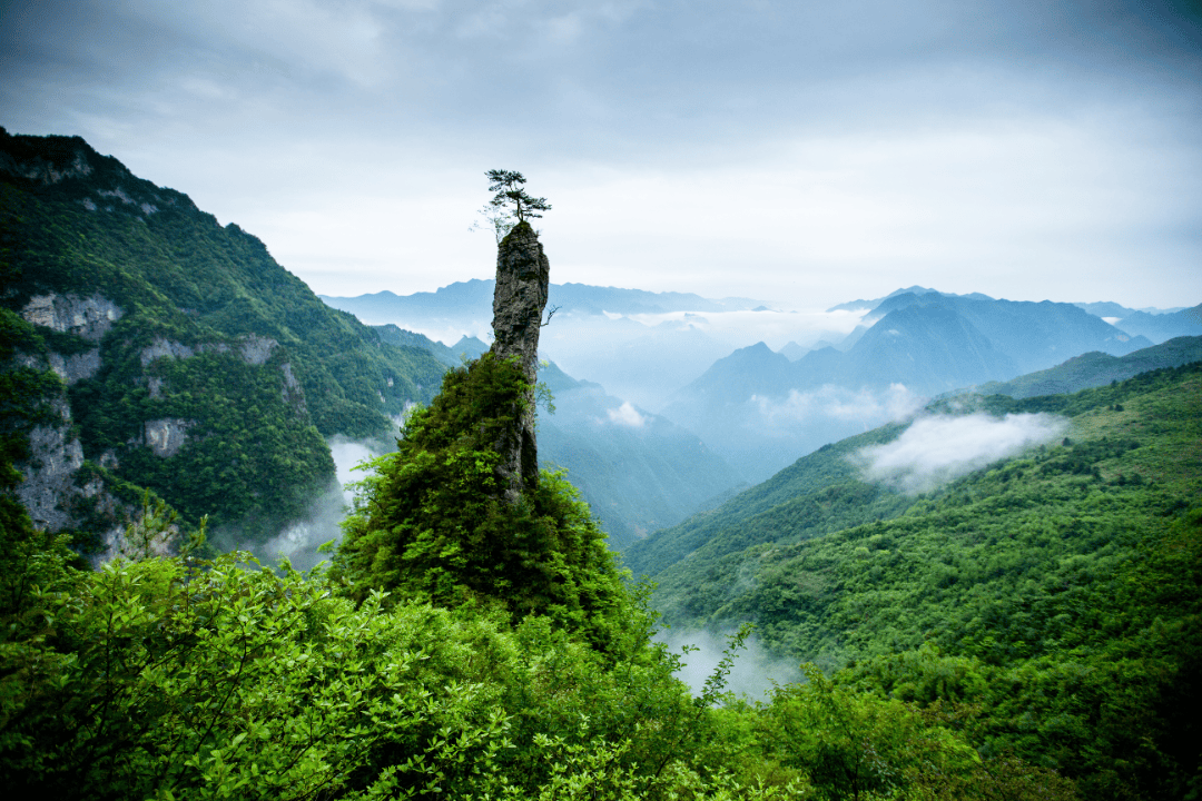 中国旅游日|万源文旅邀您一起出门溜达啦_大巴山_茶文化_乐趣