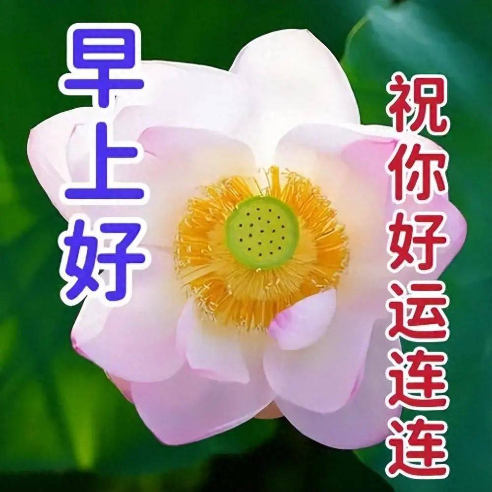 最新愉快表情包,一声问候,快乐吉祥!
