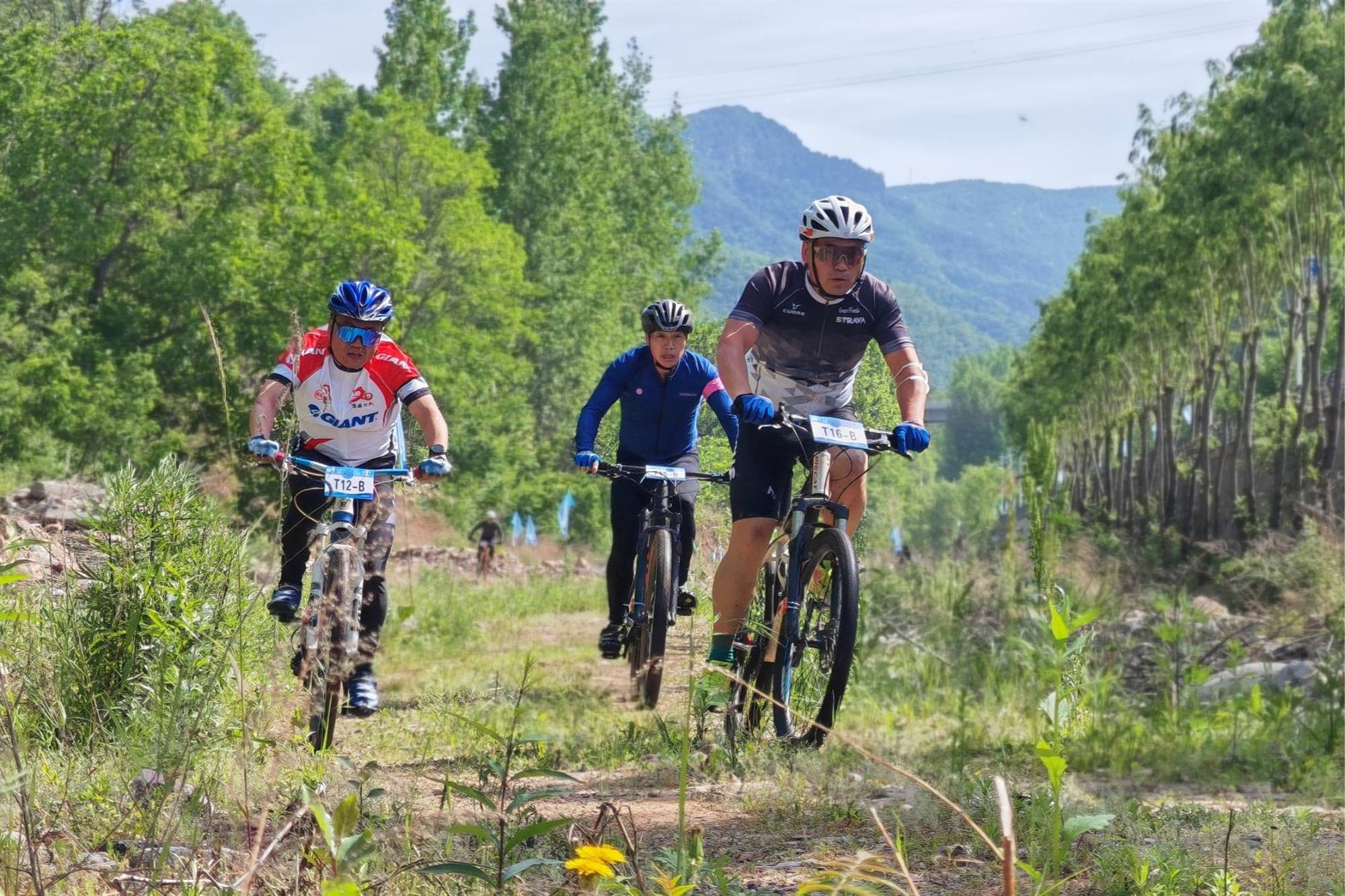 2024年"析城山"全国山地自行车越野赛燃情开赛