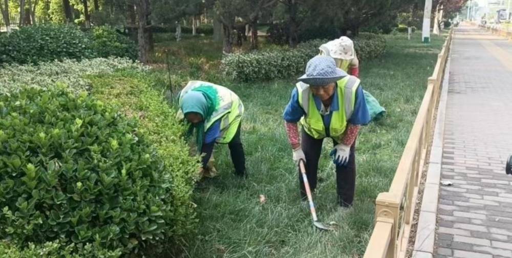 荔枝新闻:澳门管家婆一码一肖中特-城市：一座含“科”量 满满的城市  第4张