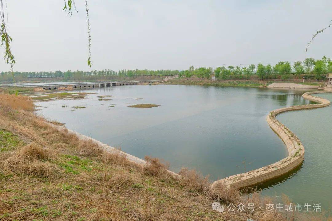 翻过山之后是寂静的山野风光,还有罕见的野生紫色花海,走到钓鱼台村