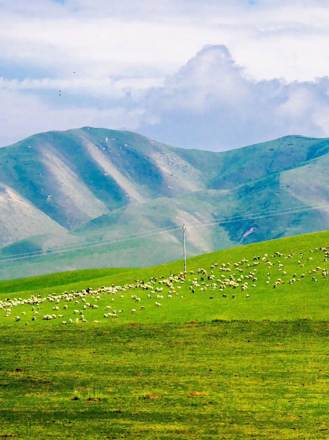 从荒漠草原到草甸草原,近18万平方公里的草场占据着锡林郭勒的土地,在
