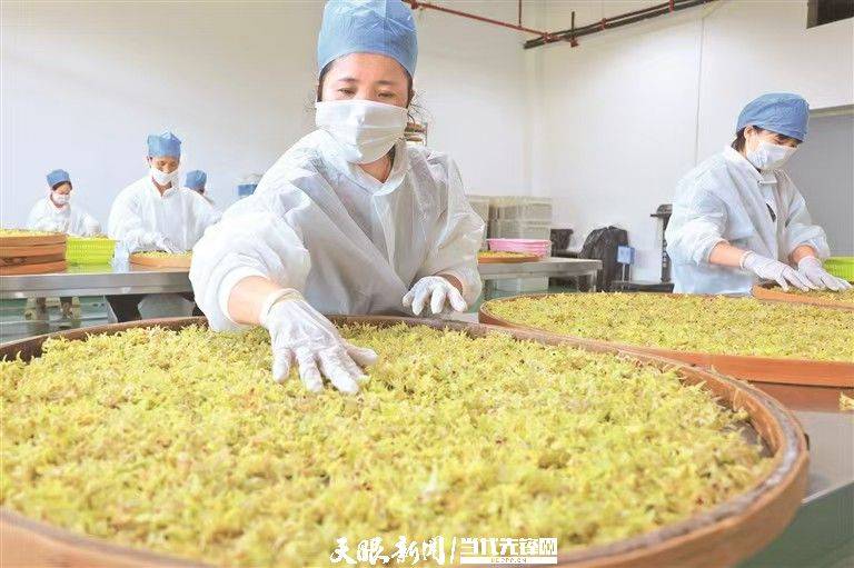 土豆视频：2024管家婆一肖一马-新闻：央视《晚间新闻》 中新网关注我市博物馆日活动