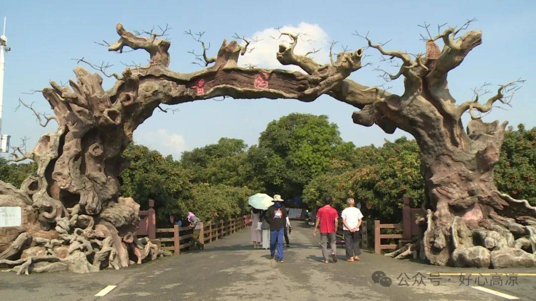 【荔红时节高州行】高州贡园:千年荔枝文化的"博物馆"