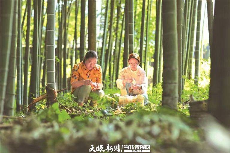 搜狗：澳门一码一肖期期准中选料1-新闻：一周热点新闻！东郸居民区“蝶变”进行时！杨浦这个小区电梯+2