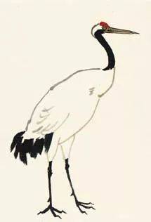 用朱砂调胭脂点肉冠,用藤黄加少许赭石点鹤眼,喙色用赭石调花青直接勾