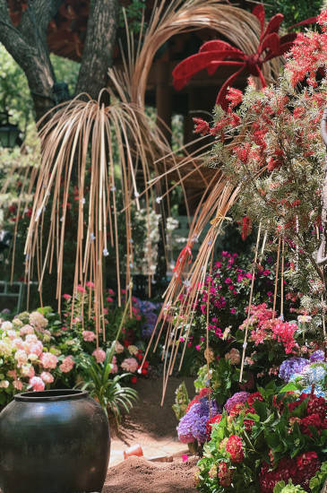 吴山景区第十届八仙花展与你相约