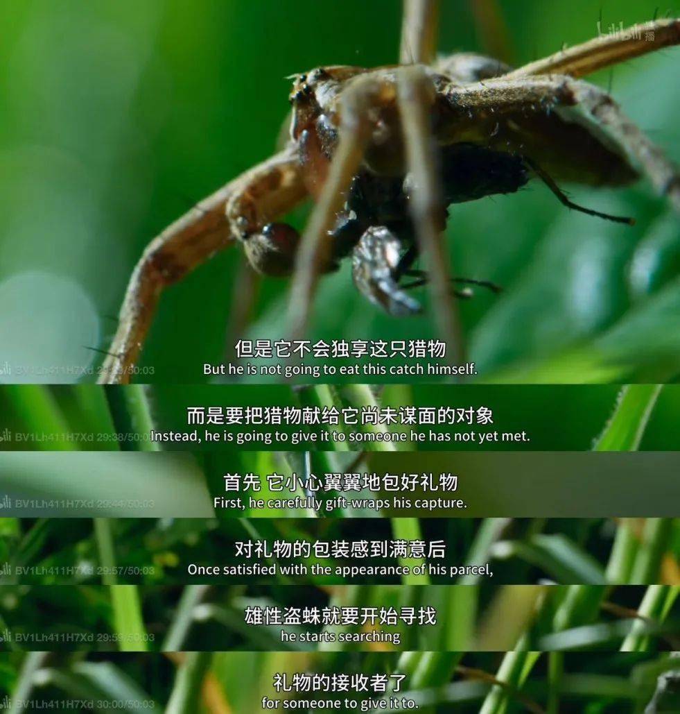 想上网找点刺激的恋爱,结果搜到了