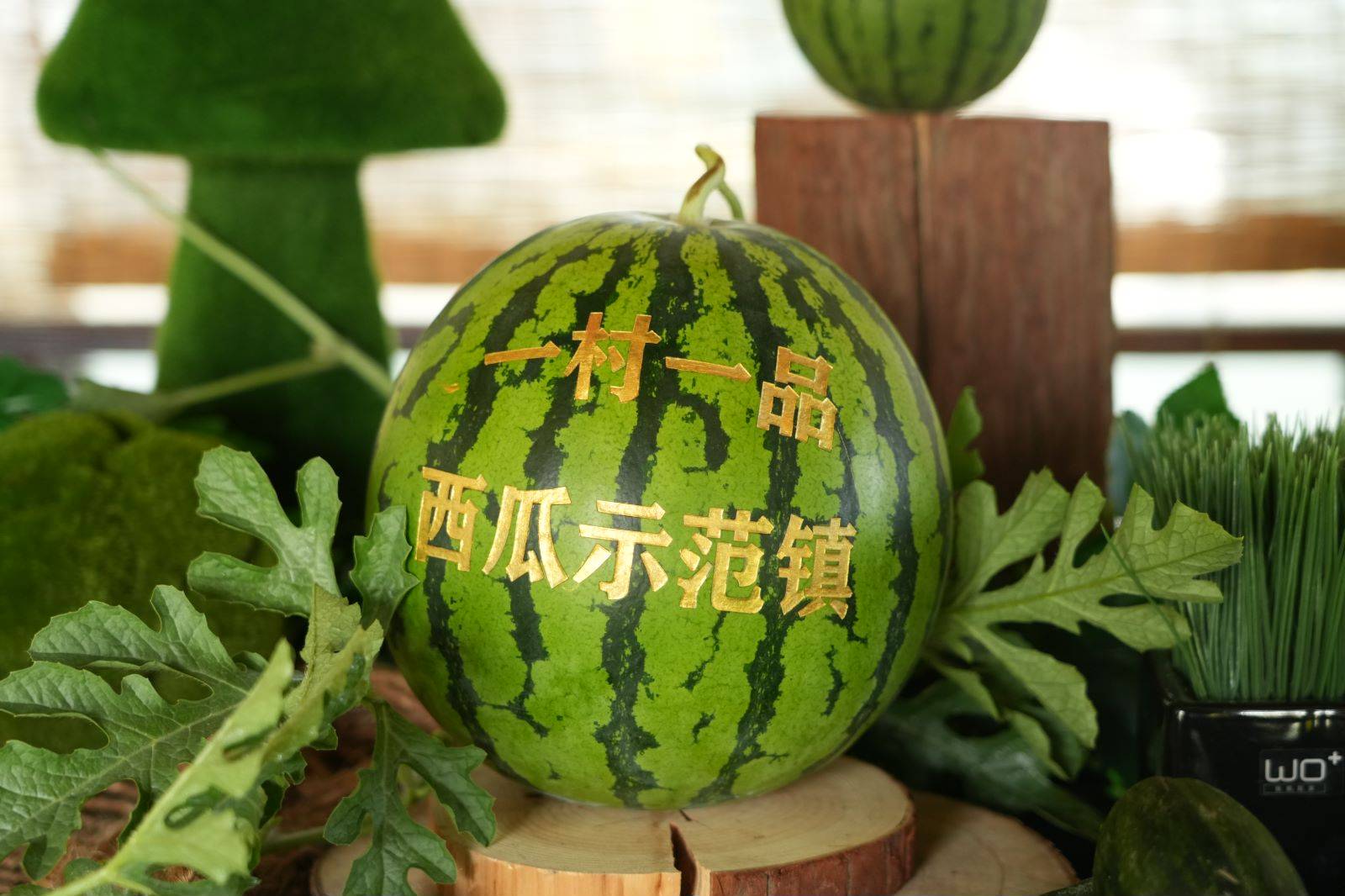 打出"南汇8424西瓜"引领牌,书院镇做好乡村振兴这篇大文章