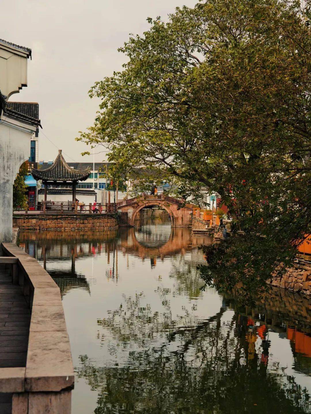 夏天均温23℃,一半向海,一半是山,这座杨梅味儿的