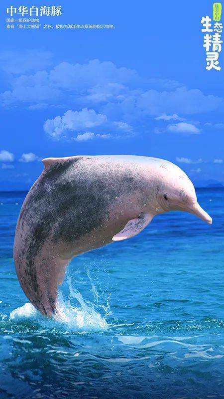 图集|绿美中山 生态精灵——探寻自然之美