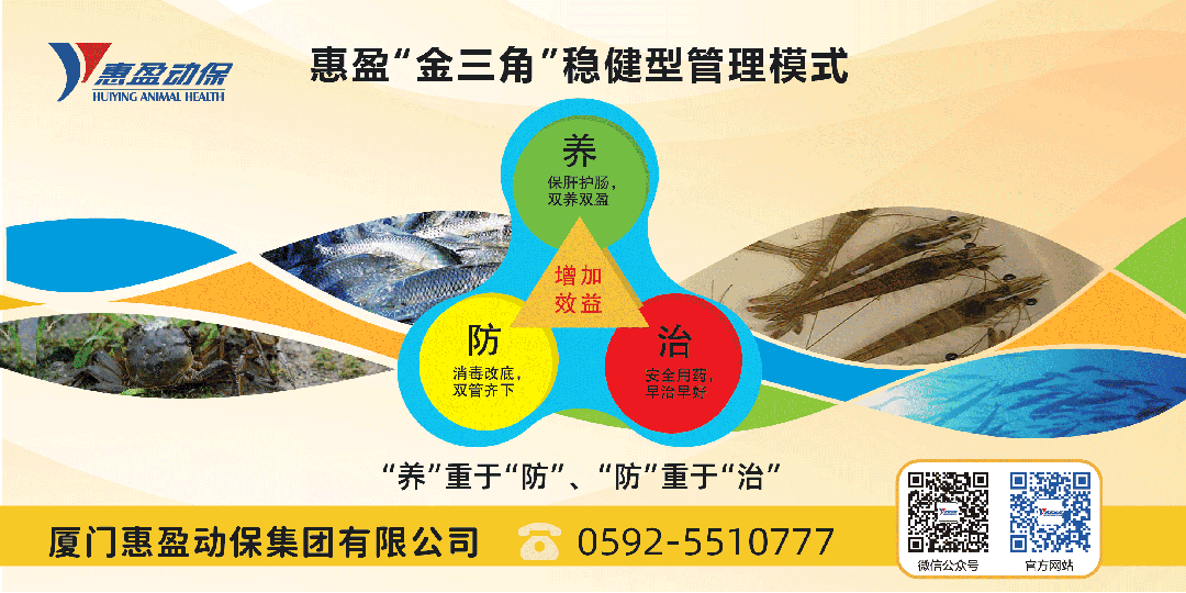 小龙虾虾苗价格腰斩,未来该怎么办?