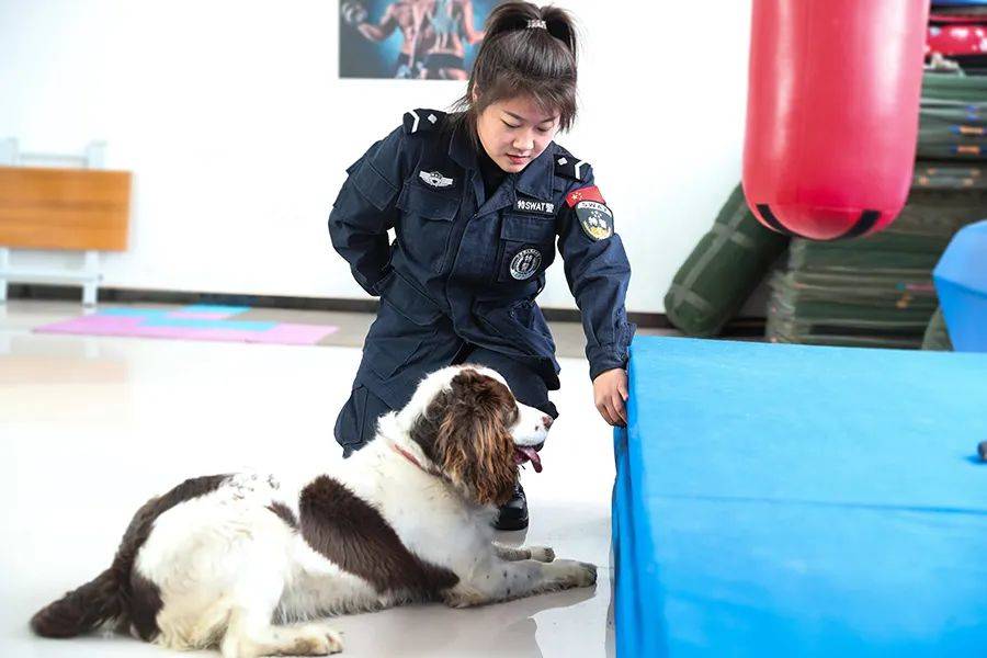 今年26岁的刘典,2020年进入黑龙江省鸡西市公安局特警支队警犬中队