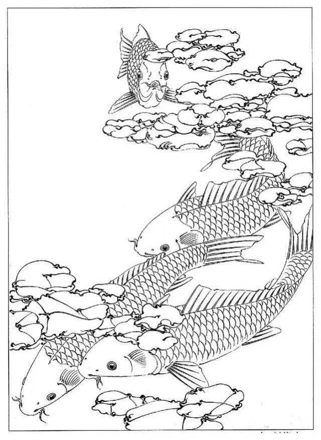  p style="text-align: center;"> span>工笔画素材《鱼白描图》0001 