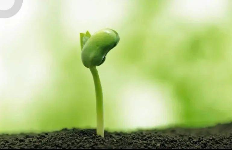 第八届"芙蓉杯"全国文学大赛入围诗歌作品——《我