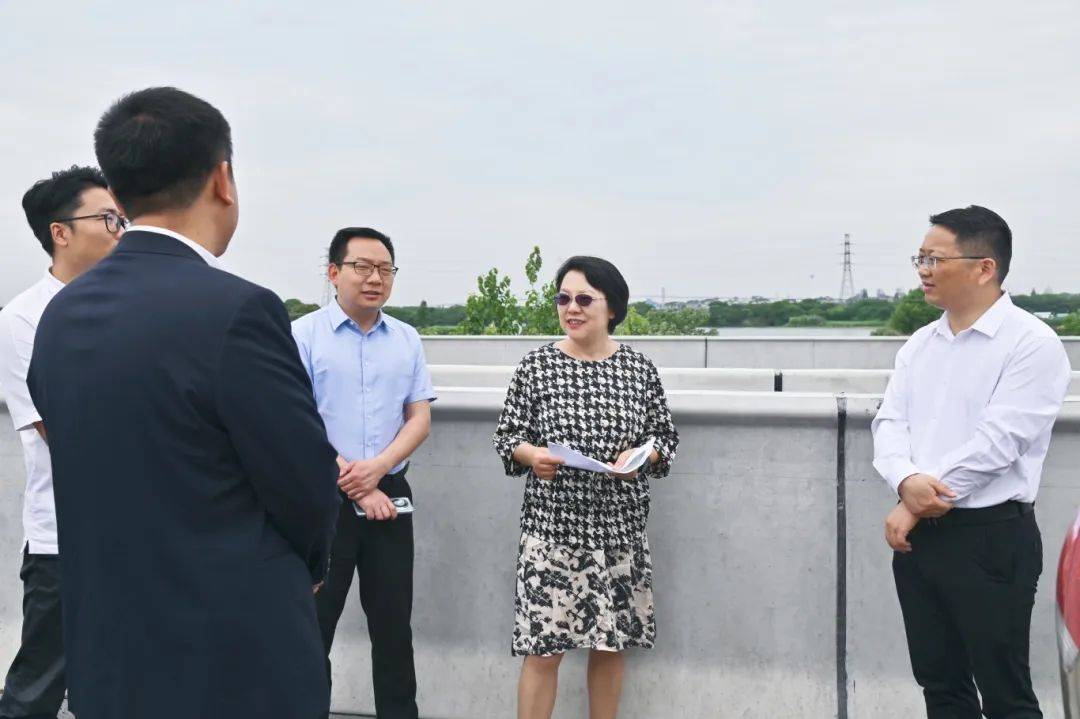 区领导调研七都水环境治理工作