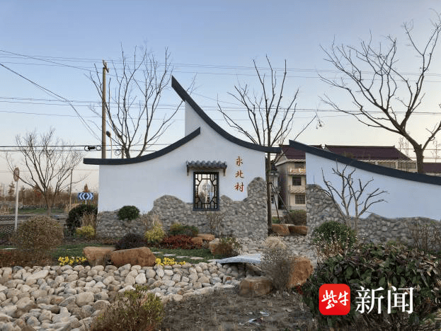 南通海门海永镇:生态向好野鸟归,田园风光入画来