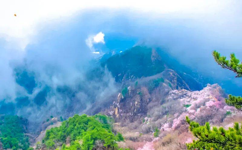 蓟州渔阳古街蓟县古称渔阳,有着悠久的历史,始建于汉朝.